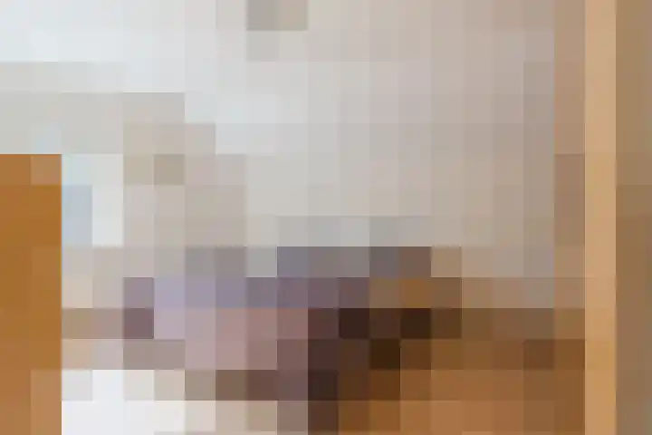 Boomheuvel 8 Best thumbnail 28