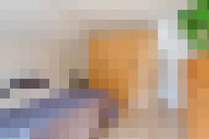 Boomheuvel 8 Best thumbnail 29