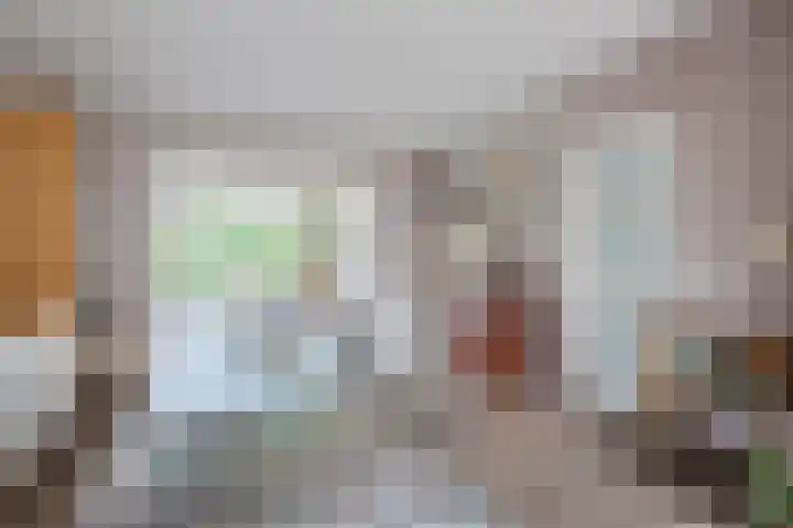 Boomheuvel 8 Best foto 3