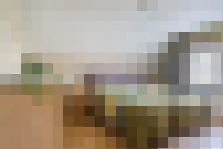 Boomheuvel 8 Best thumbnail 30