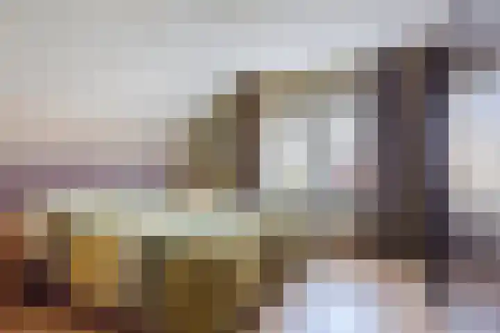 Boomheuvel 8 Best thumbnail 31
