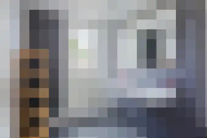 Boomheuvel 8 Best thumbnail 35