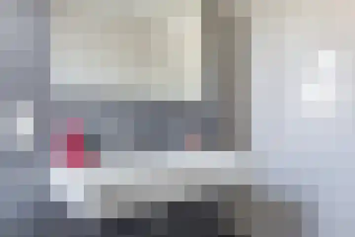 Boomheuvel 8 Best thumbnail 36