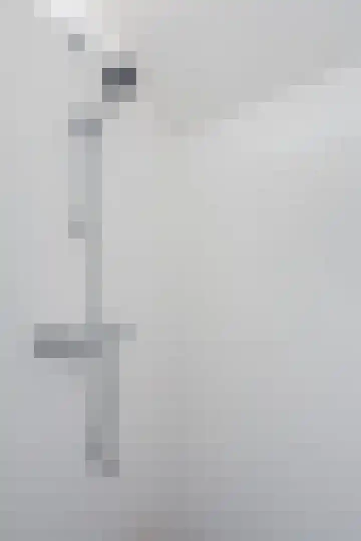 Boomheuvel 8 Best thumbnail 37