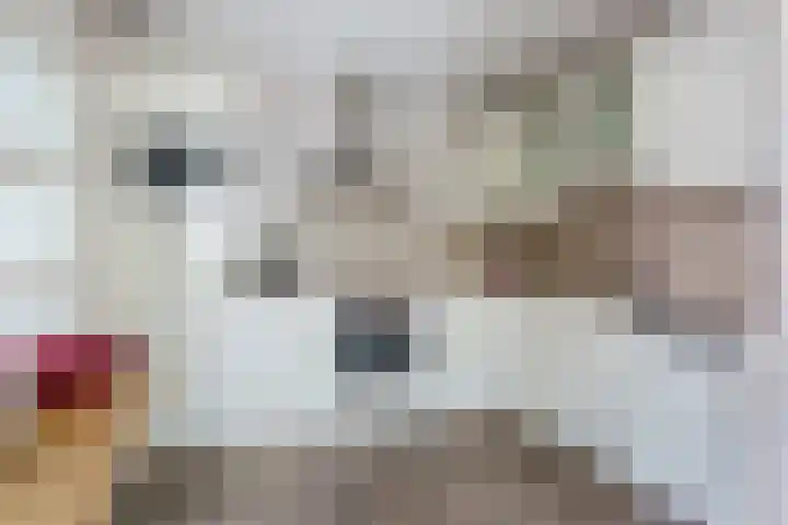 Boomheuvel 8 Best thumbnail 4