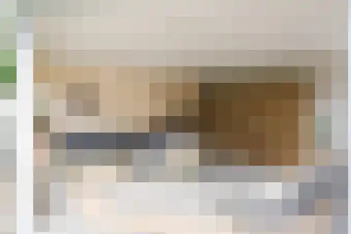 Boomheuvel 8 Best thumbnail 41