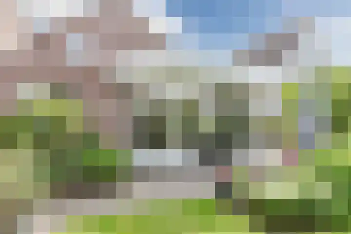 Boomheuvel 8 Best thumbnail 43