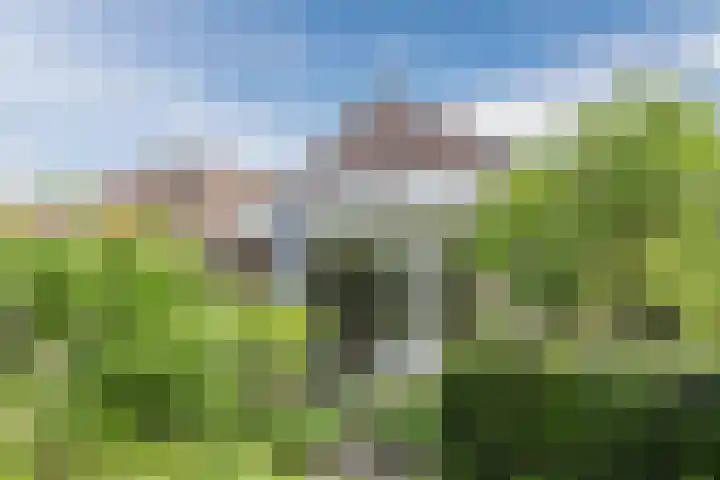 Boomheuvel 8 Best thumbnail 44
