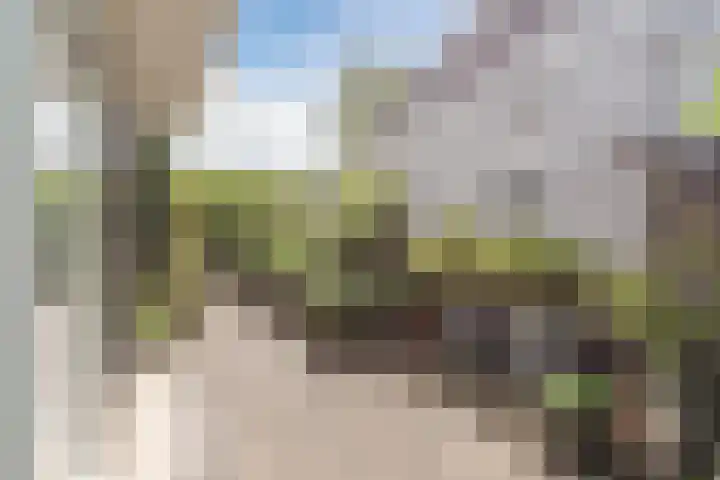 Boomheuvel 8 Best thumbnail 47