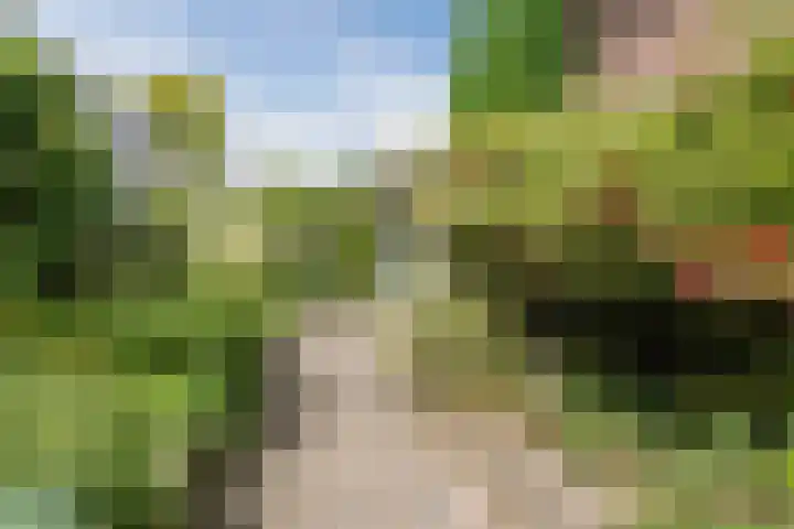 Boomheuvel 8 Best thumbnail 48