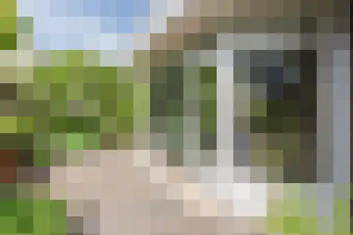 Boomheuvel 8 Best thumbnail 49