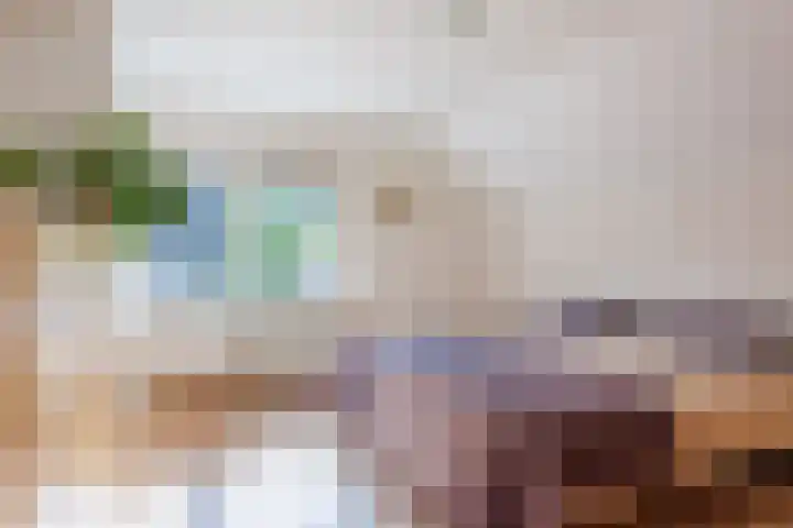 Boomheuvel 8 Best thumbnail 5