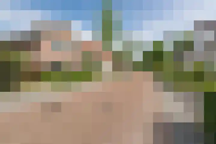 Boomheuvel 8 Best thumbnail 50
