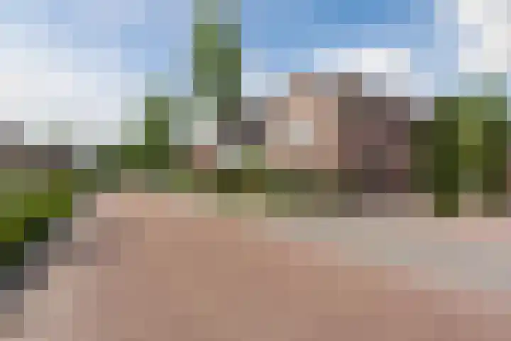 Boomheuvel 8 Best thumbnail 51