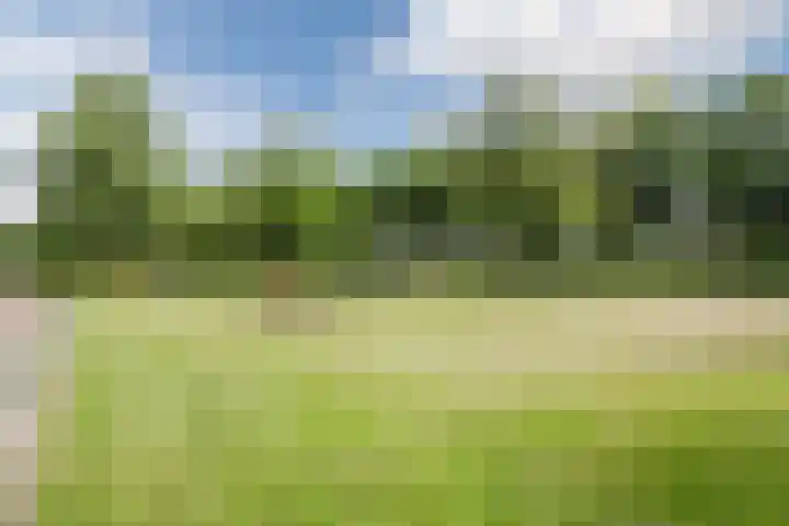 Boomheuvel 8 Best thumbnail 52