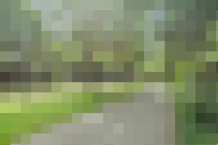 Boomheuvel 8 Best thumbnail 53