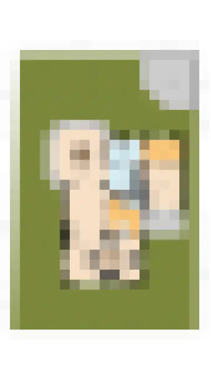 Boomheuvel 8 Best thumbnail 56