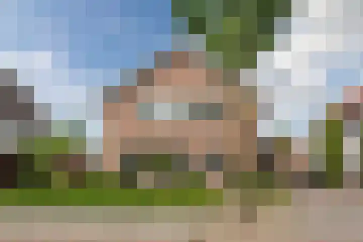 Boomheuvel 8 Best thumbnail 7