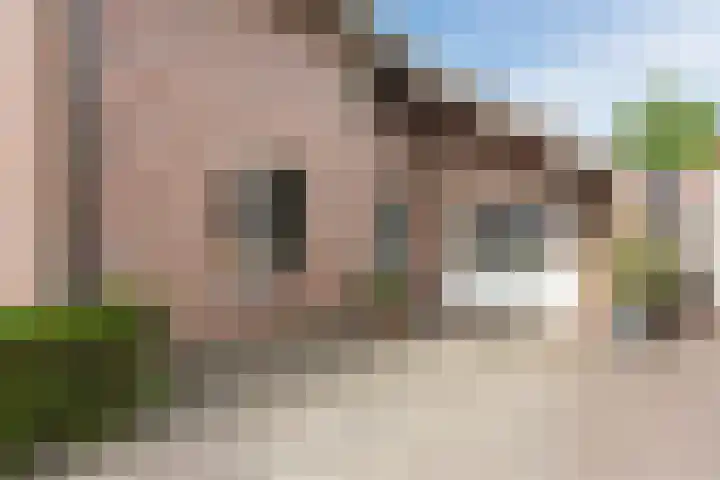 Boomheuvel 8 Best thumbnail 8