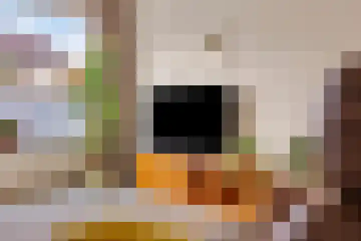Boomhouwer 4 Oirschot thumbnail 13