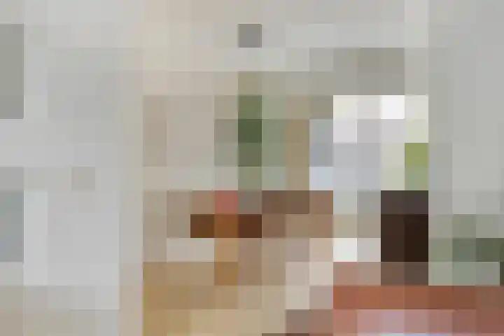 Boomhouwer 4 Oirschot thumbnail 14