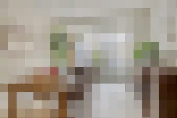 Boomhouwer 4 Oirschot thumbnail 15