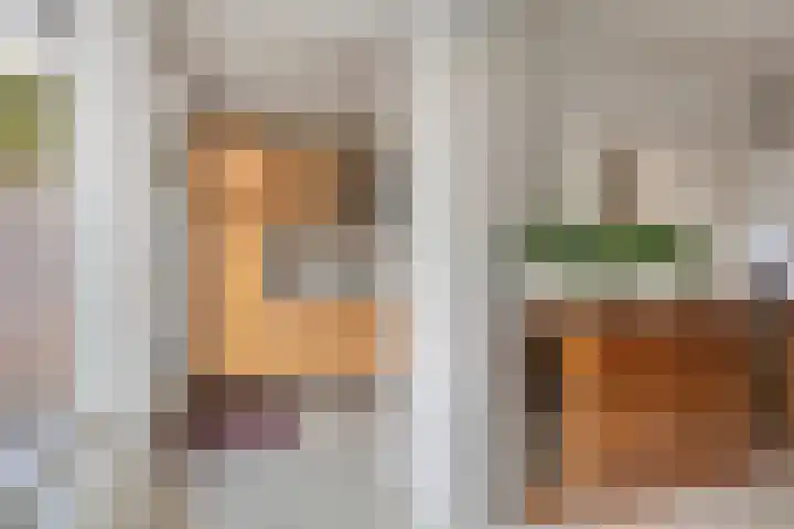 Boomhouwer 4 Oirschot thumbnail 18