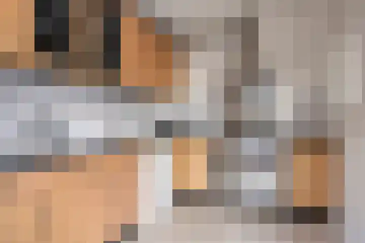 Boomhouwer 4 Oirschot thumbnail 19