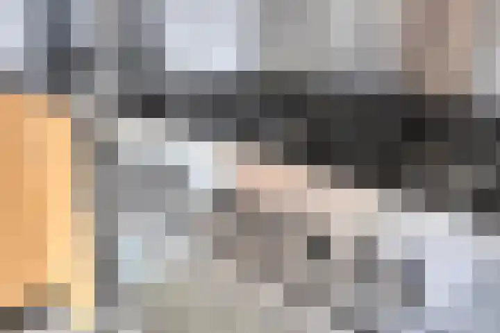 Boomhouwer 4 Oirschot thumbnail 20
