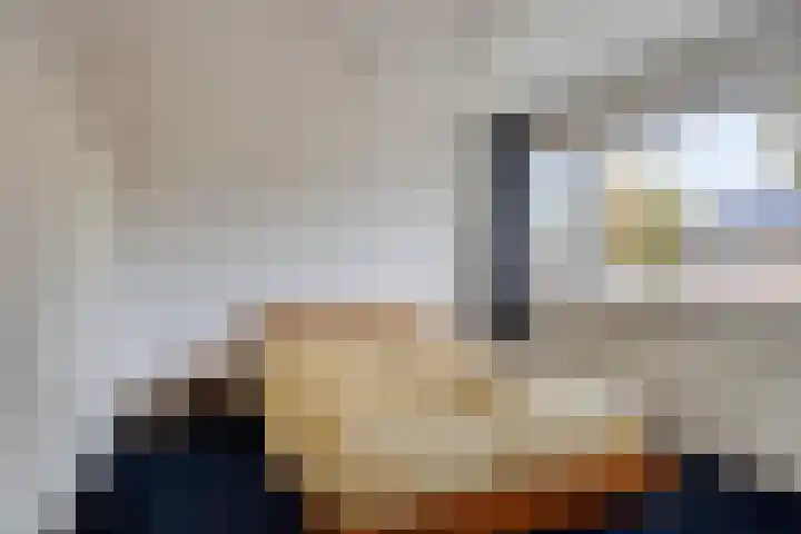 Boomhouwer 4 Oirschot thumbnail 26