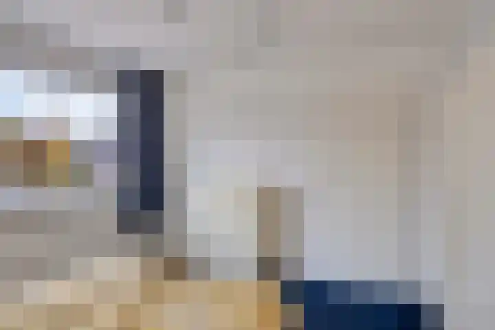 Boomhouwer 4 Oirschot thumbnail 27