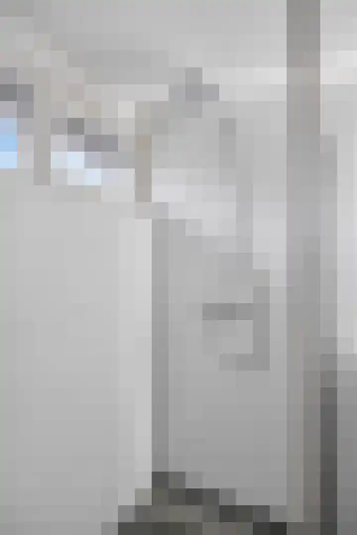 Boomhouwer 4 Oirschot thumbnail 32