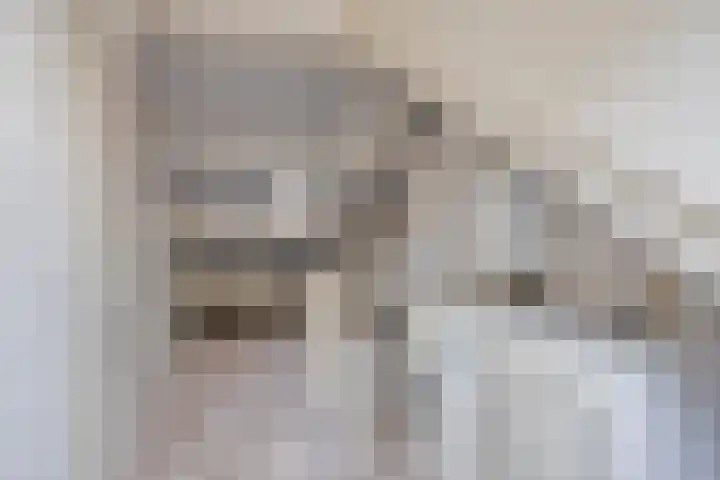Boomhouwer 4 Oirschot thumbnail 33