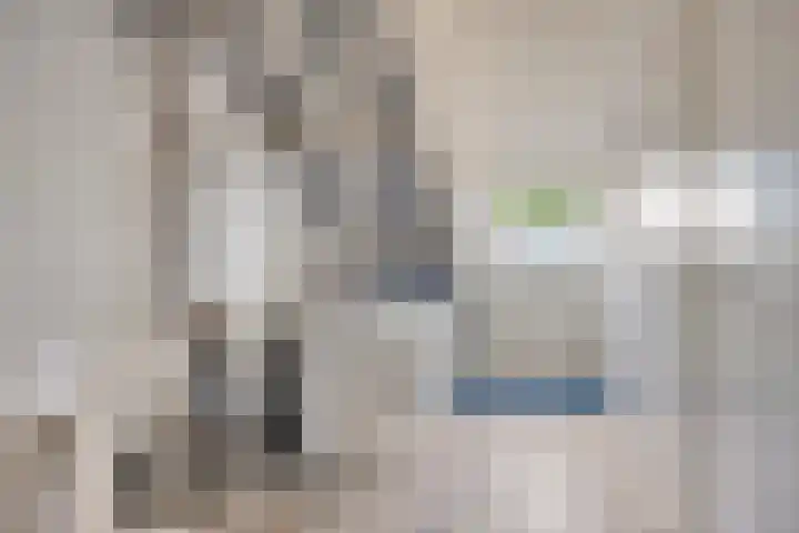 Boomhouwer 4 Oirschot thumbnail 34