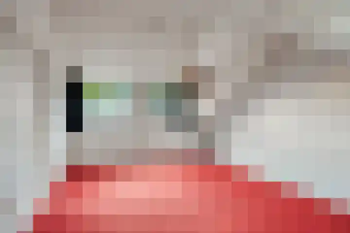 Boomhouwer 4 Oirschot thumbnail 35