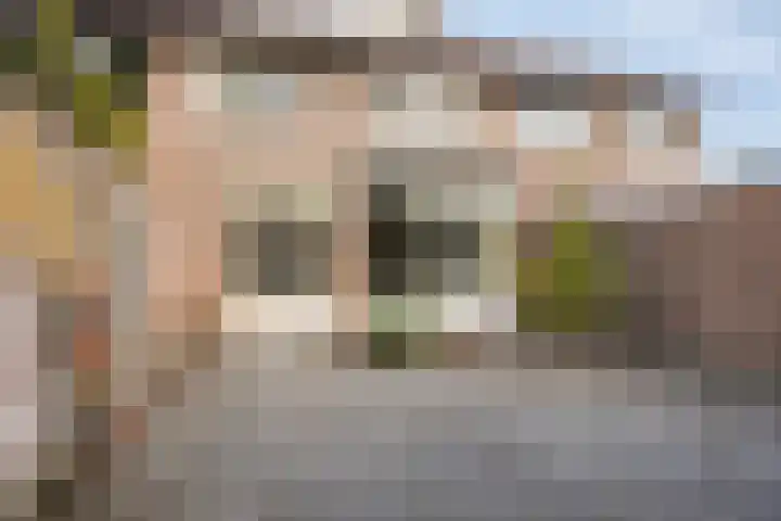 Boomhouwer 4 Oirschot thumbnail 37