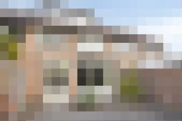 Boomhouwer 4 Oirschot thumbnail 38