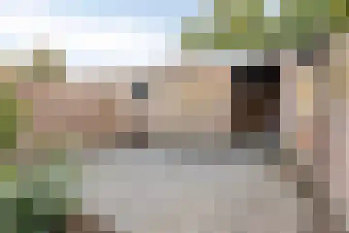 Boomhouwer 4 Oirschot thumbnail 39