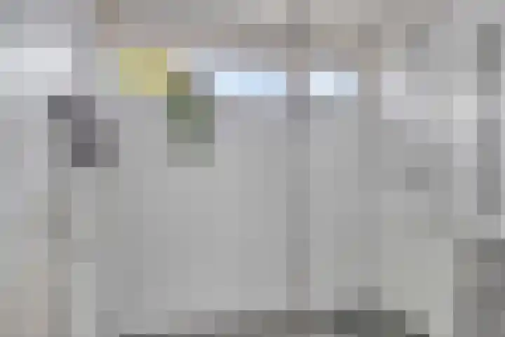 Boomhouwer 4 Oirschot thumbnail 4