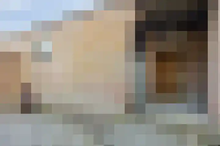 Boomhouwer 4 Oirschot thumbnail 40