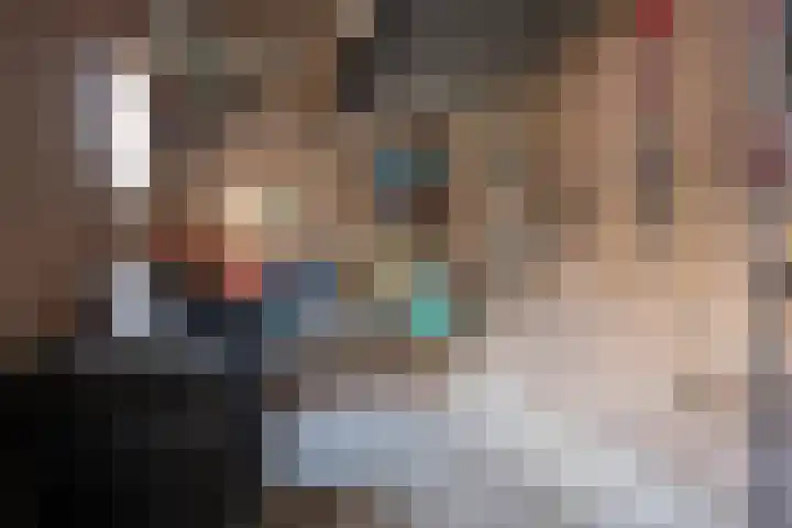 Boomhouwer 4 Oirschot thumbnail 41
