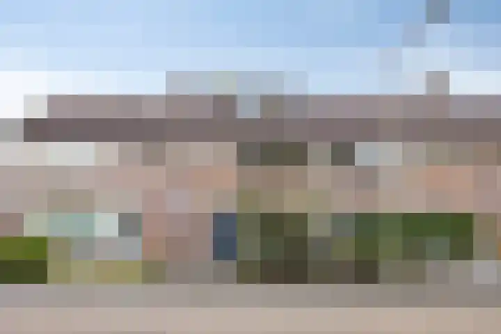 Boomhouwer 4 Oirschot thumbnail 42