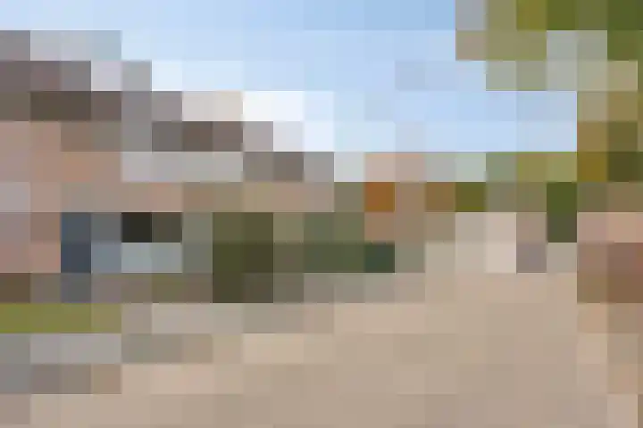 Boomhouwer 4 Oirschot thumbnail 43