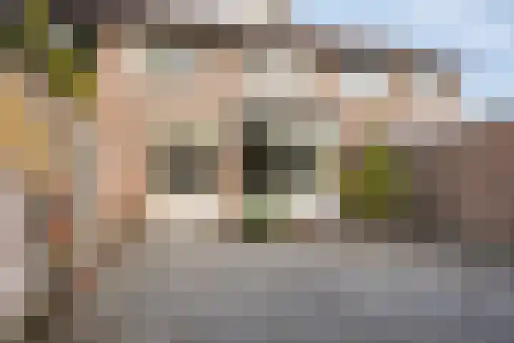 Boomhouwer 4 Oirschot thumbnail 5