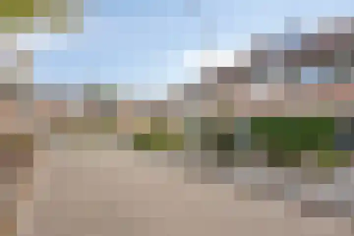 Boomhouwer 4 Oirschot thumbnail 6