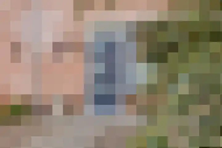 Boomhouwer 4 Oirschot thumbnail 7
