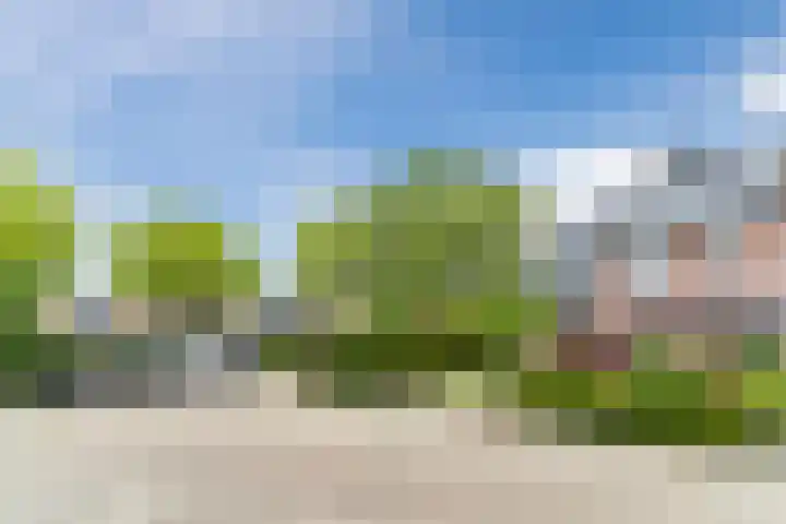 Boomkamp 17 Geldermalsen thumbnail 5