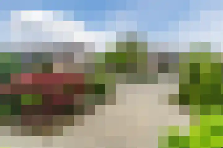 Boomkamp 17 Geldermalsen thumbnail 6