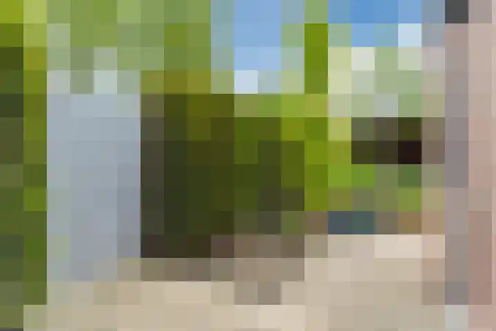 Boomkamp 17 Geldermalsen thumbnail 62