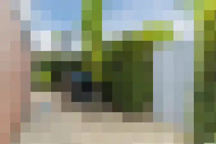 Boomkamp 17 Geldermalsen thumbnail 63